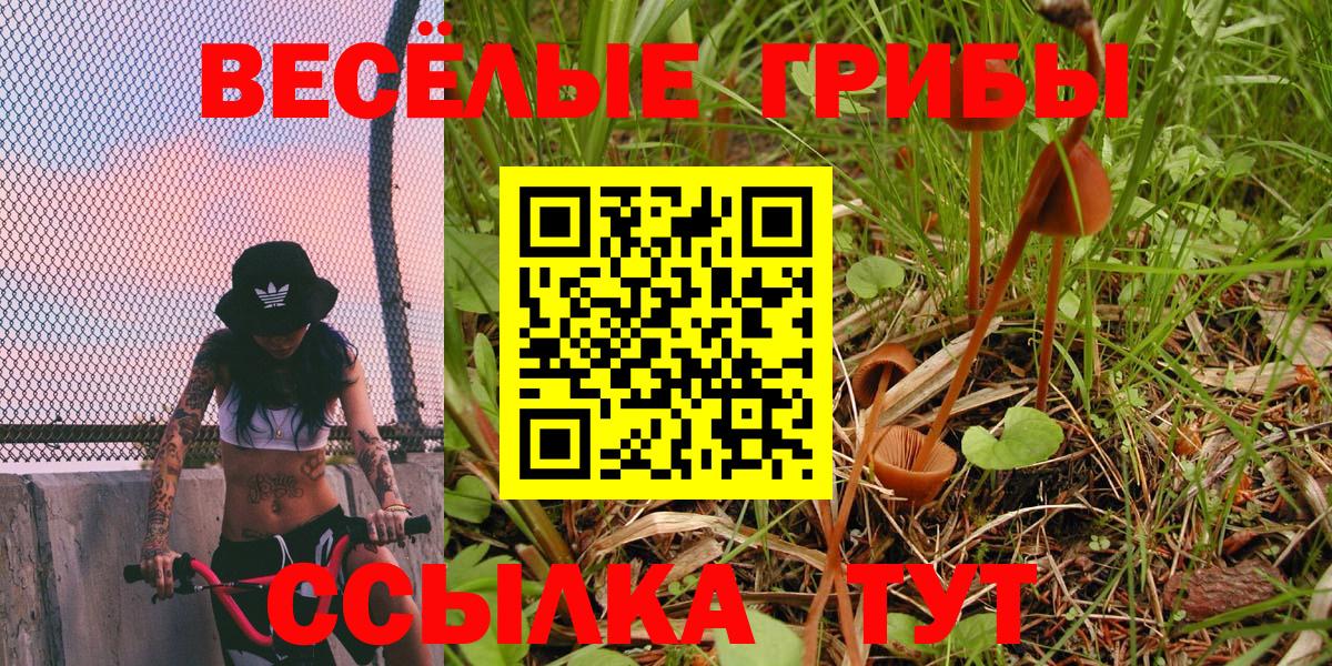 Псилоцибиновые грибы ЛСД Красноярск